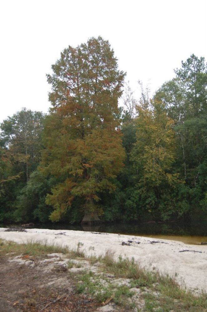 Tux Creek Inn Biloxi Exteriör bild